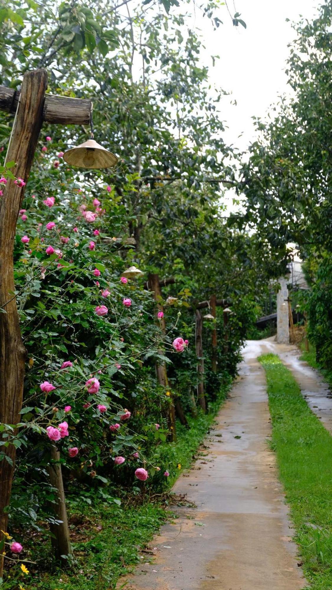 Villa Moc Tra Farm Xuan Truong Esterno foto