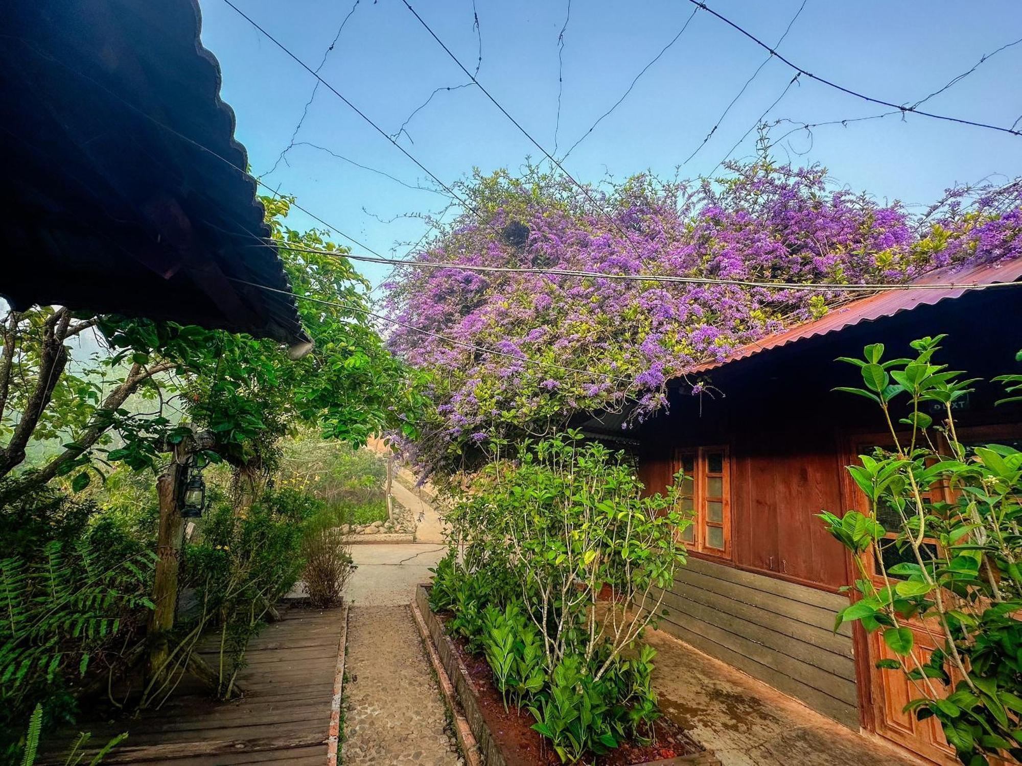 Villa Moc Tra Farm Xuan Truong Esterno foto